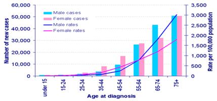 Number of new cases and rates by age.